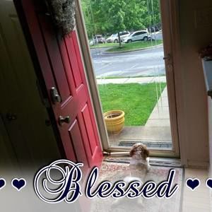 Meet your Posher, Chloe